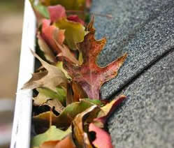 Reveles Roofing Images