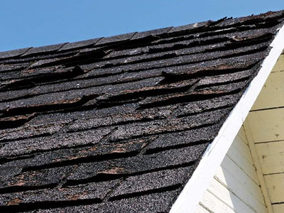 Reveles Roofing Images
