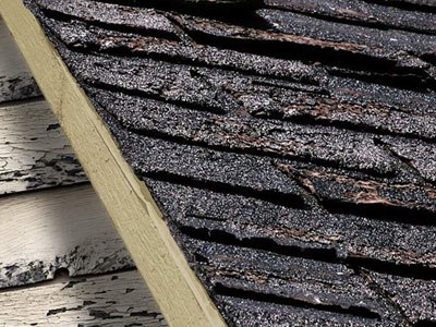 Reveles Roofing Images