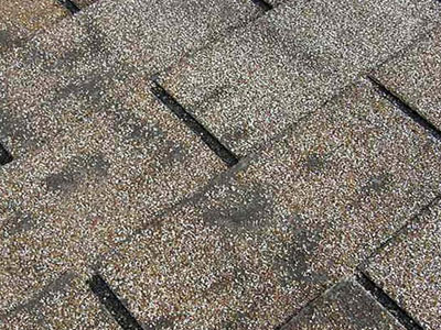 Reveles Roofing Images