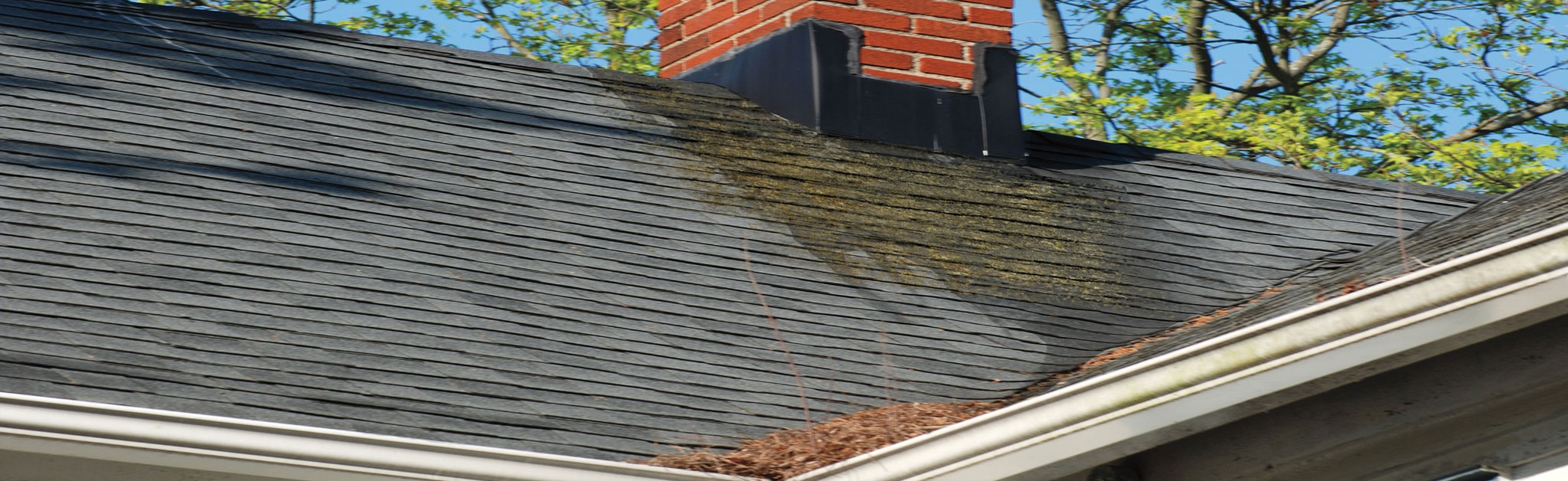 Reveles Roofing Images